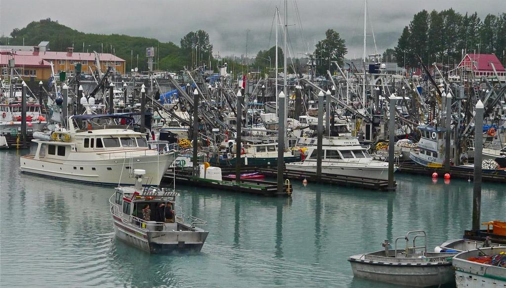 Venture in the harbour at Valdez, which was packed with commercial fishboats. © Tony Fleming